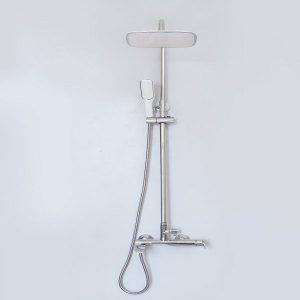 SEN CÂY CỦ TRÒN SC108